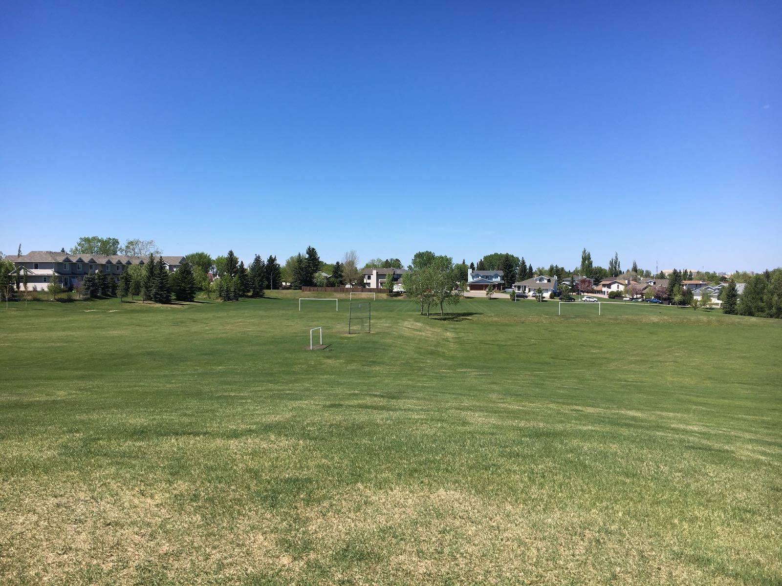 Edmonton Razorbacks Lacrosse Club site by RAMP InterActive